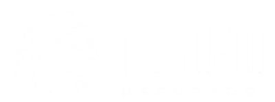 Tucuju Bizurado